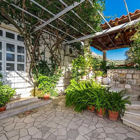 Appartement Vitasovic *